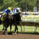Horse Racing Game