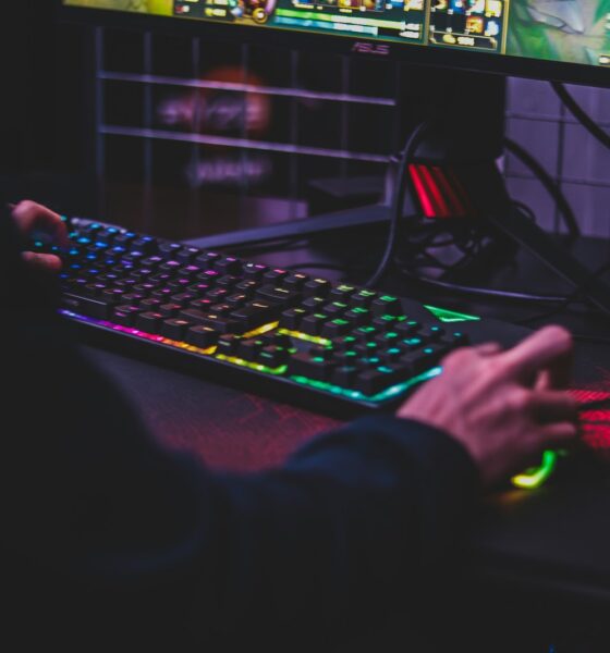 Playing GAme on the computer