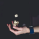 Hand throwing dices