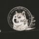 Doge Memecoin