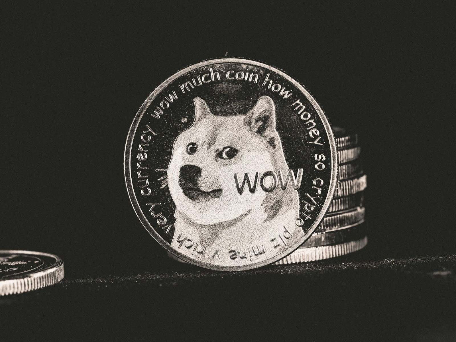 Doge Memecoin